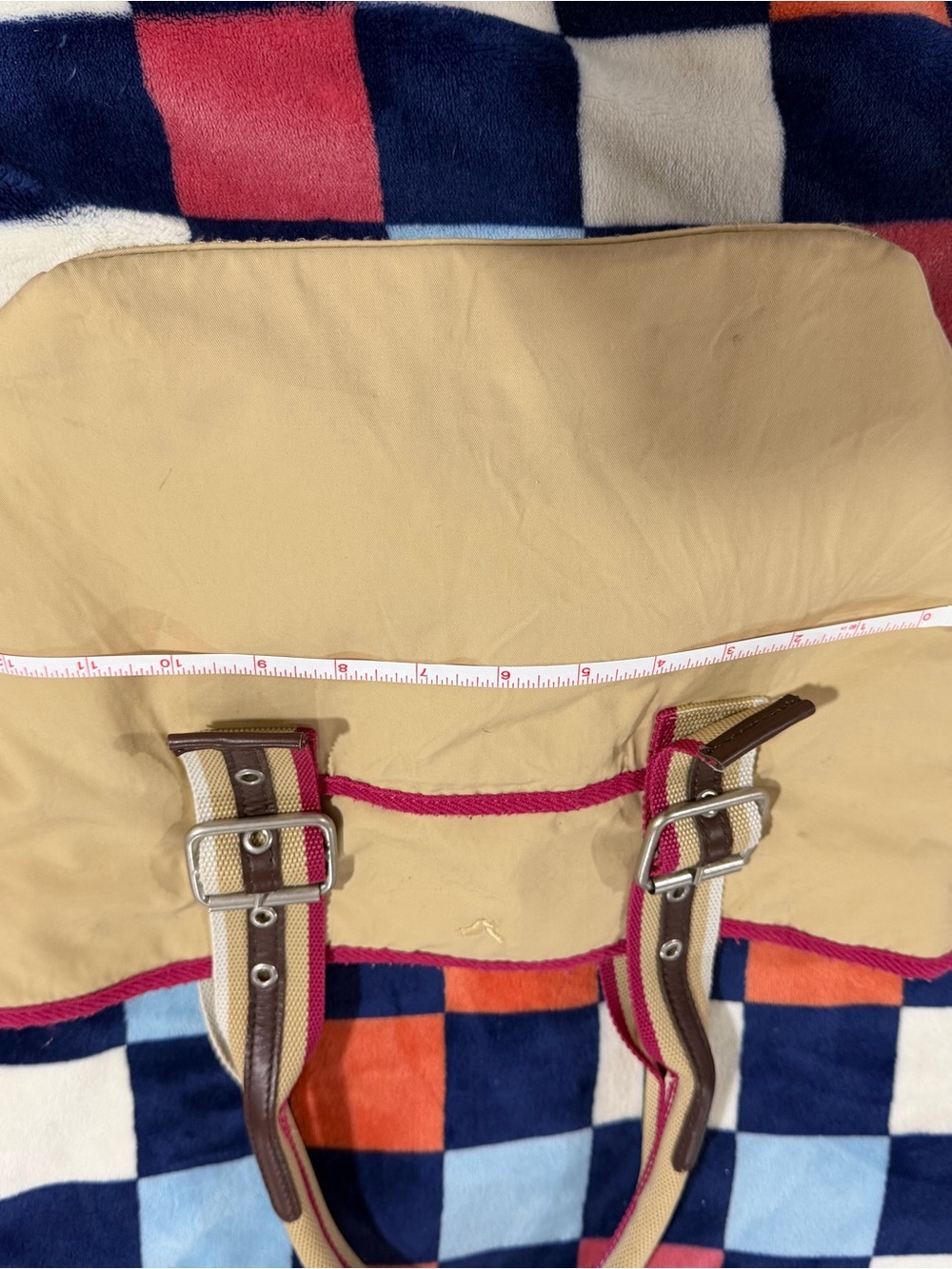 American Eagle bag - beige w/ deep pink trim - Picture 10 of 16